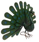 Páv Peacock Nortene - 1/2