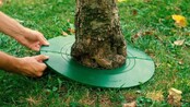 Chránič na rastliny TreeGuard 30 cm - 2/4