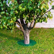 Chránič na rastliny TreeGuard 11.5 cm - 4/4
